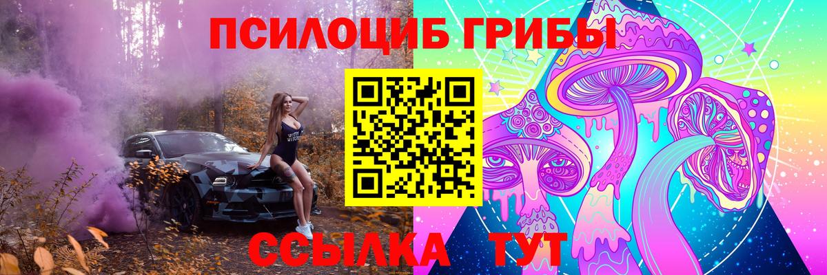 Клин  Галлюциногенные грибы Psilocybe  Вход с VPN 