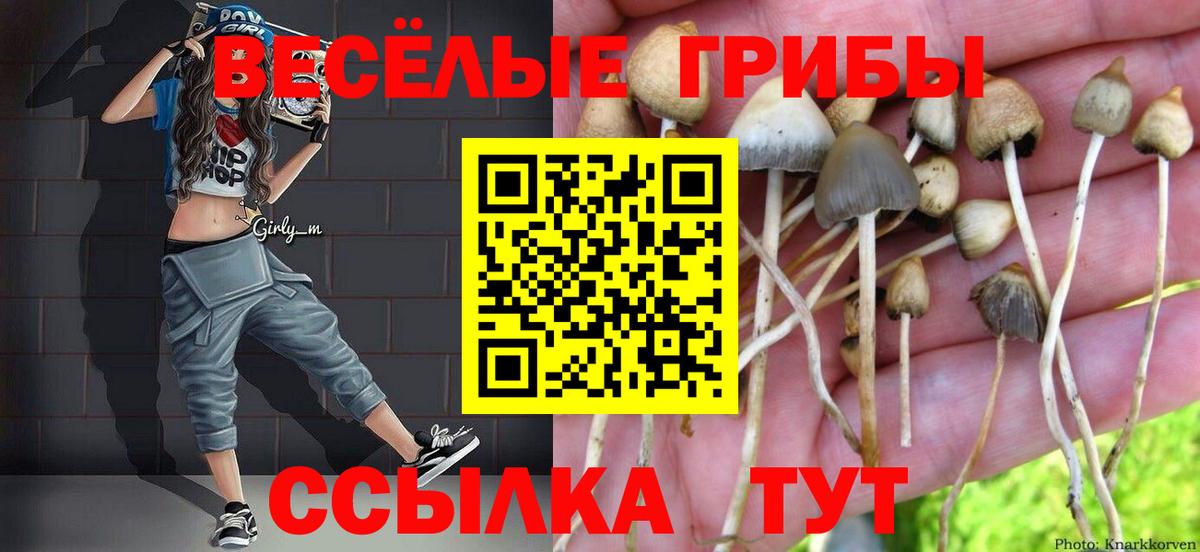 Псилоцибиновые грибы ЛСД Клин